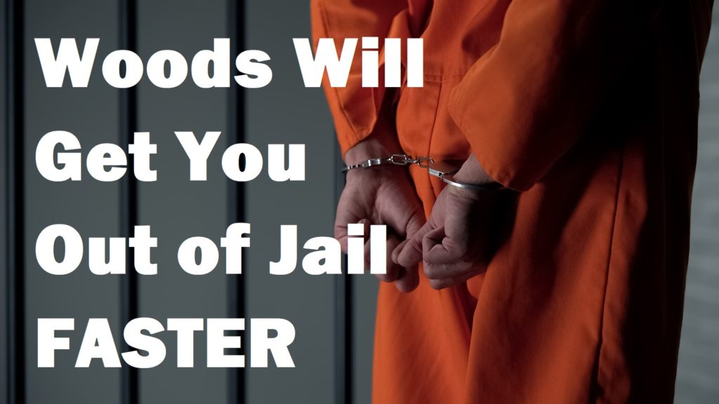 Indiana Bail Bonds 317-876-9600